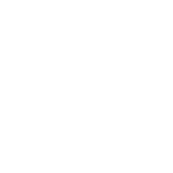 VeriDoc Global VeriDoc Global